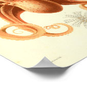 1881  kleureninktkunst poster (Hoek)