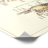  1881 Lobster Biology Anatomy Print (Hoek)