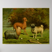 1881  Terrier and Pug Print (Voorkant)