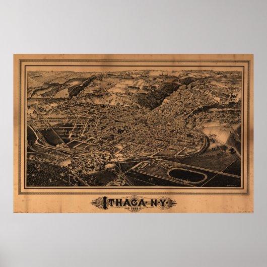 1882 Ithaca, NY Birds Eye Uitzicht Panorama Poster (Voorkant)