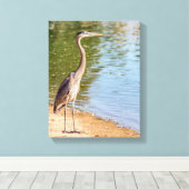 1884 - Grote blauwe reiger Canvas Afdruk (Insitu (Houten vloer))
