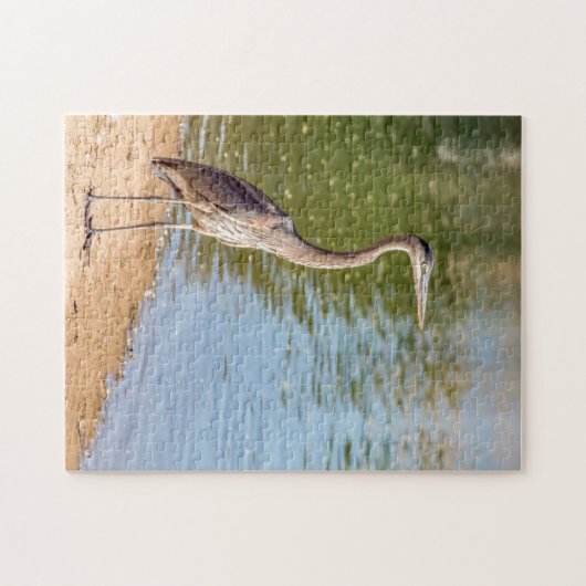 1884 - Grote blauwe reiger op Shore Puzzel Legpuzzel (Horizontaal)