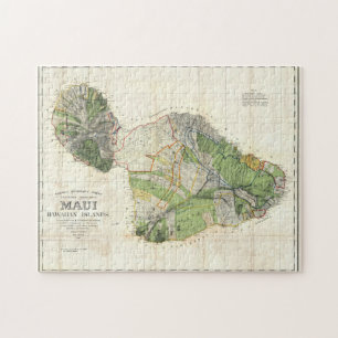 1885 De Witt Alexander Map of Maui, Hawaii Legpuzzel