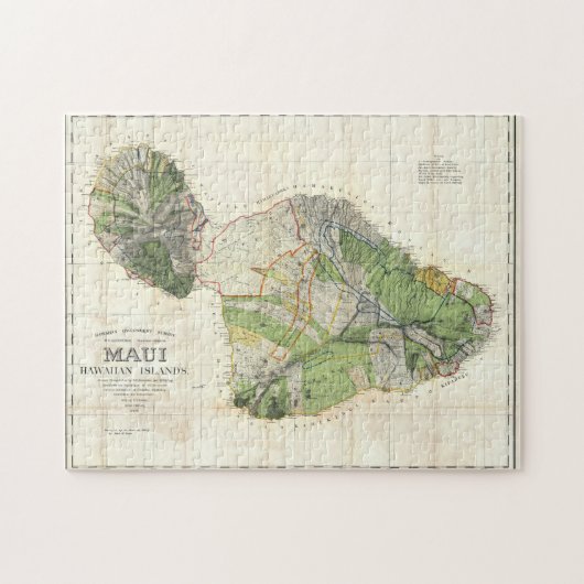 1885 De Witt Alexander Map of Maui, Hawaii Legpuzzel (Horizontaal)