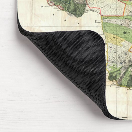 1885 De Witt Alexander Map of Maui, Hawaii Muismat (Hoek)