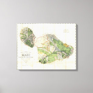 1885 De Witt Alexander Wall Map van Maui, Hawaii Canvas Afdruk