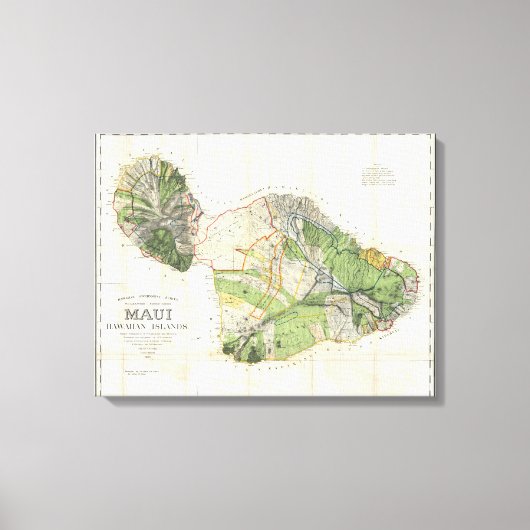 1885 De Witt Alexander Wall Map van Maui, Hawaii Canvas Afdruk (Voorkant)