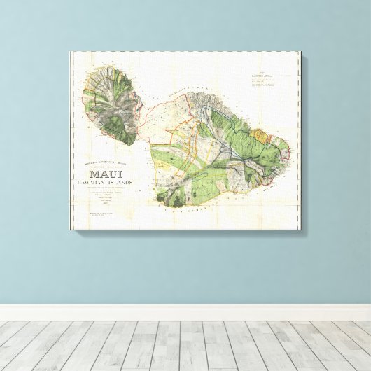 1885 De Witt Alexander Wall Map van Maui, Hawaii Canvas Afdruk (Insitu (Houten vloer))