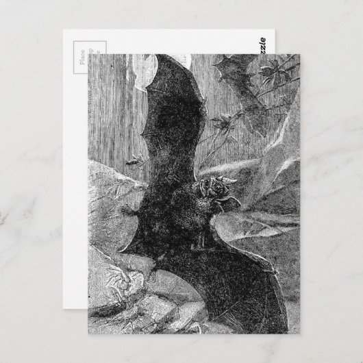 1885 Vampire Bat Illustratie Briefkaart (Voorkant / Achterkant)
