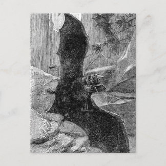1885 Vampire Bat Illustratie Briefkaart