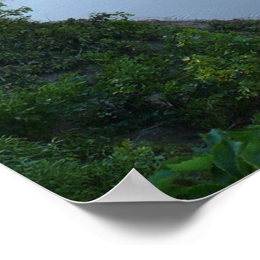 1886 Clements Stone Arch Bridge Poster (Hoek)