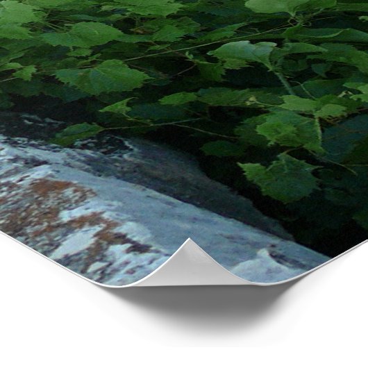 1886 Clements Stone Arch Bridge Poster (Hoek)