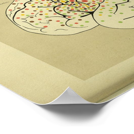 1886 humane hersenanatomie afdrukken poster (Hoek)