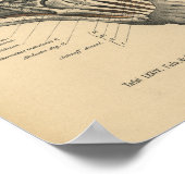 1888: Anatomy Print Ankle Foot (Hoek)