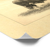 1888 Bull Print (Hoek)