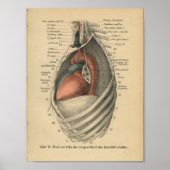  1888 Duits Anatomy Print Heart (Voorkant)