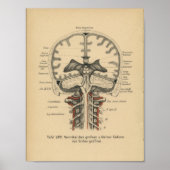  1888 Duits Anatomy Print Skull Brain (Voorkant)