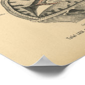  1888 Duits Anatomy Print Skull Brain (Hoek)