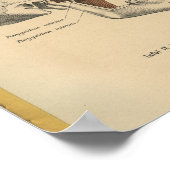 1888 Duitse anatomie Afdrukspieren Poster (Hoek)