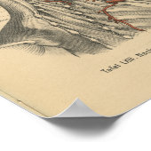  1888 Duitse anatomie drukhalsspieren Poster (Hoek)