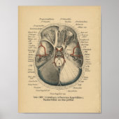  1888 Duitse anatomie Print Skull Eyes (Voorkant)