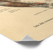 1888 Duitse anatomie printarmspieren Poster (Hoek)