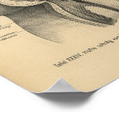  1888 Duitse anatomie printbeen Heup Poster (Hoek)