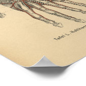  1888 Duitse anatomie printhand Poster (Hoek)