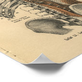  1888 Duitse anatomie printspieren Poster (Hoek)