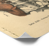  1888 Duitse Anatomy Print Abdomen Pelvis (Hoek)