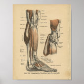  1888 Duitse Anatomy Print Boot Foot (Voorkant)