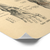 1888 Duitse Anatomy Print Boot Foot (Hoek)