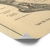  1888 Duitse Anatomy Print Boot Foot (Hoek)