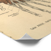  1888 Duitse Anatomy Print Hand Wrist (Hoek)