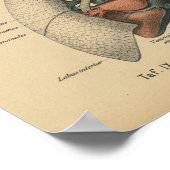 1888 Duitse Anatomy Print Heart Lungs (Hoek)