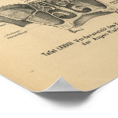  1888 Duitse Anatomy Print Sinuses (Hoek)