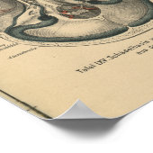  1888 Duitse Anatomy Print Skull Base (Hoek)