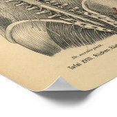 1888 Duitse Anatomy Print Spinal Nerves (Hoek)