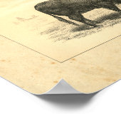 1888-Koe met Calf Print (Hoek)