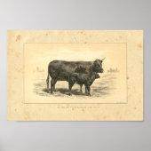  1888-Koe met Calf Print (Voorkant)