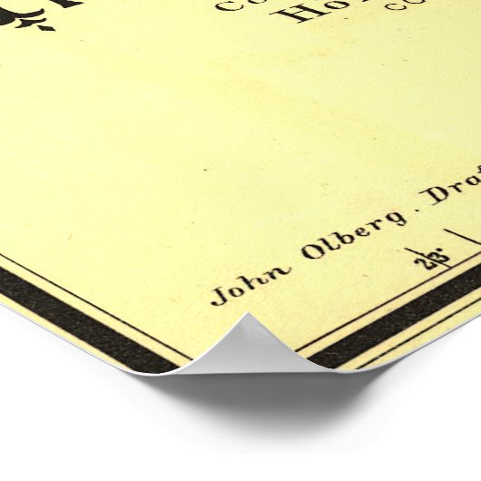 1889 Indische Territoriale kaart Poster (Hoek)