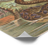 1889 Slangen van de Afrikaanse Oerwoud Poster (Hoek)