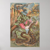 1889 Slangen van de Afrikaanse Oerwoud Poster (Voorkant)