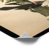 1890 Bird Print Pileated Woodpecker (Hoek)