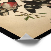 1890 Bird Print Roos-breasted Grosbeak (Hoek)