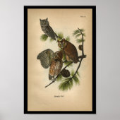 1890 Bird Print Screech Owls (Voorkant)