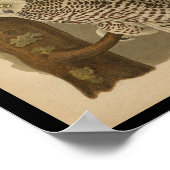 1890 Bird Print Snowy Owl (Hoek)