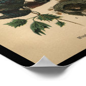 1890 Bird Print Wood Duck (Hoek)