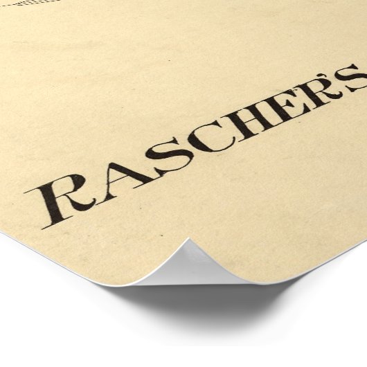 1890 Kaart van het Meatpakstation van Chicago Poster (Hoek)