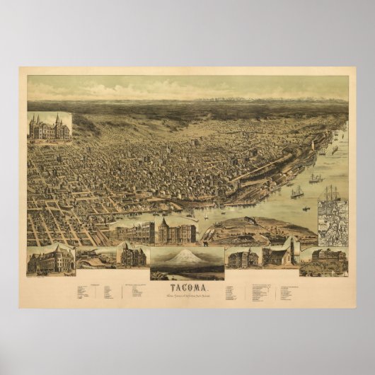1890 Tacoma, WA Birds Eye Uitzicht Panorama Poster (Voorkant)